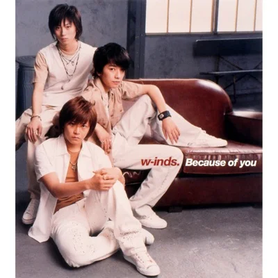 윈즈 - Because of you 앨범 커버