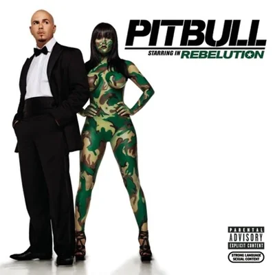 Pitbull - Hotel Room Service 앨범 커버