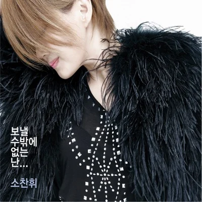 소찬휘 - 보낼수밖에없는난 앨범 커버
