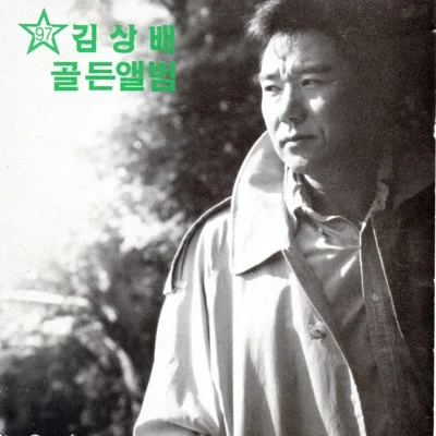 김상배 - 사나이가슴에비가내리네 앨범 커버