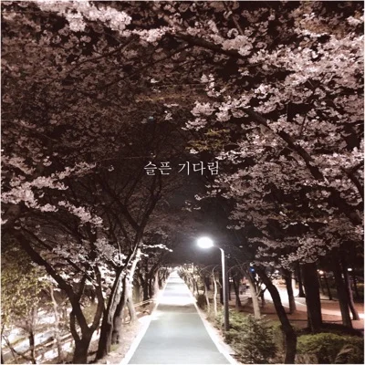 주니퍼 - 슬픈기다림 앨범 커버