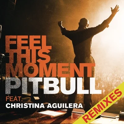 Pitbull(Feat.Christina Aguilera) - Feel This Moment 앨범 커버