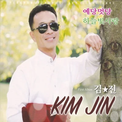 김진 - 하늘빛사랑 앨범 커버