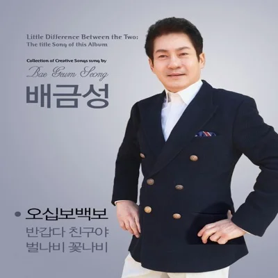배금성 - 벌나비꽃나비 앨범 커버